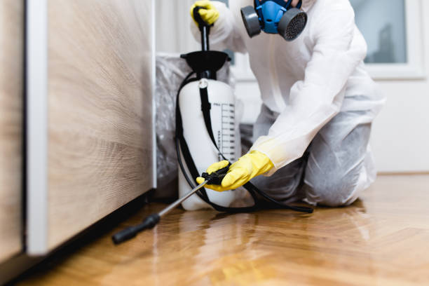 Best Pest Control Near Me  in El Dorado, KS