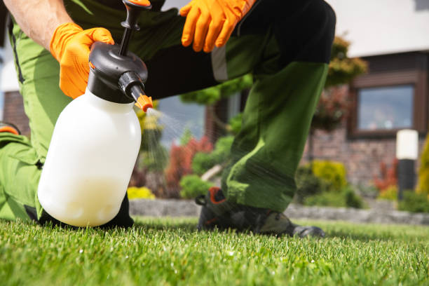 Best Best Pest Control Companies  in El Dorado, KS