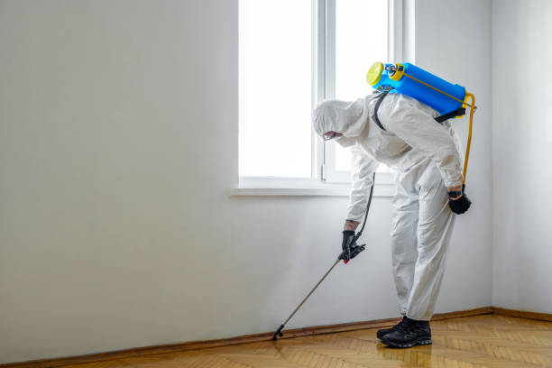 Best Residential Pest Control  in El Dorado, KS