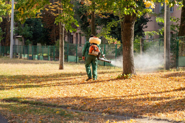 Best Best Pest Control Companies  in El Dorado, KS