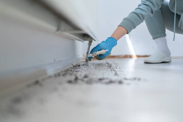 Best Ant Control Services  in El Dorado, KS