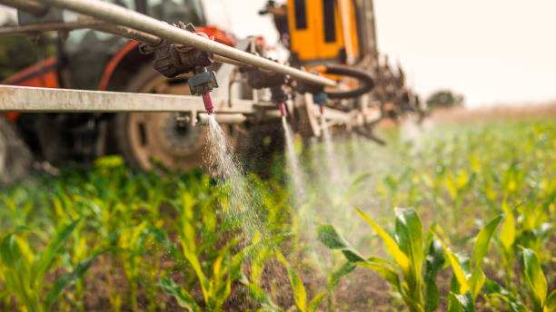 Reliable El Dorado, KS Pest Control Solutions